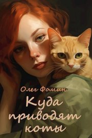 Куда приводят коты